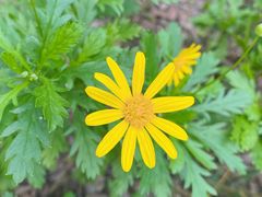 -西湖风景区-江洋畈生态公园