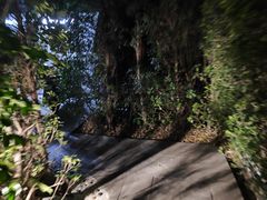 -罗汉堂·荷谷(礼智路店)