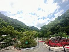 -黔灵山公园