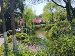 -荆川公园