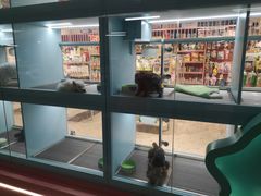 -FAELING PETS美天灵宠物(合生汇店)
