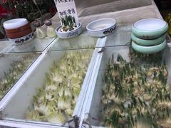 -曲阳花鸟市场(曲阳路店)