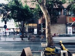 -常识咖啡common sense(春熙路店)