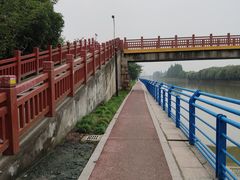 -高东镇樱花园