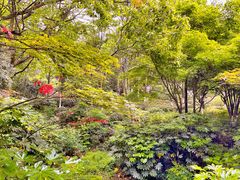 -杭州半山国家森林公园