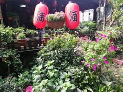 -国生茶庄·地道农家菜团建活动