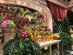 -咖啡苑 - 蔚藍夏日限定主题(永利皇宫店)