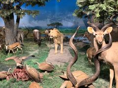 -国家自然博物馆