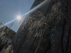 -吉林大学(南岭校区)