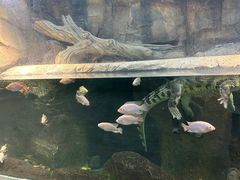 -波塞冬海底世界