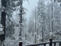 -瓦屋山景区