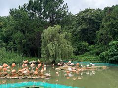 -宁波野生动物园