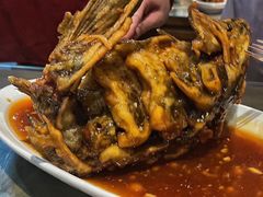糖醋黄河鲤鱼-会仙楼饭庄(宽厚里店)