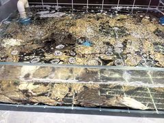 -海玥荟海鲜姿造自助餐厅(欧罗巴广场店)