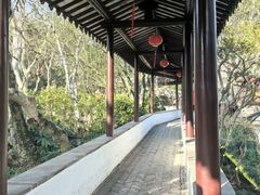-上海醉白池公园