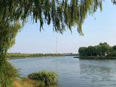 -亲兄弟真人CS团建拓展基地