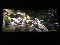 -保利国际影城(万家邻里店)