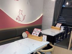 -喵园·猫主题咖啡厅·撸猫·猫咖(国贸店)