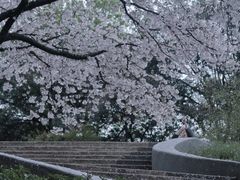 -杭州少年儿童公园