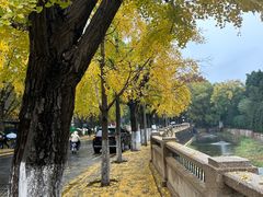 -清华大学-观畴园餐厅
