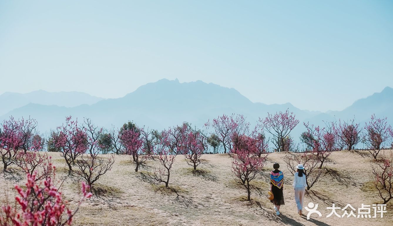 西安新晋赏花地——长安唐村