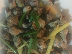 白灼辣螺-江南村海鲜馆(洞头店)