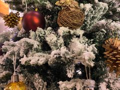 -LYFATTI 莱芙缇(赣水路店)