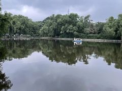 -北陵公园