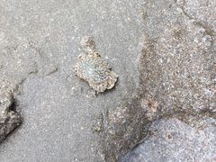 -嵊泗基湖沙滩