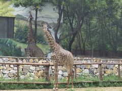 -北京野生动物园