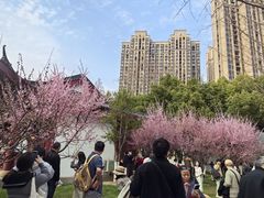 -堤角公园
