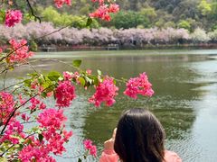 -星湖旅游景区七星岩