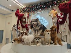 -帝京日语(春熙路旗舰校区)