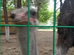 -长白岛森林公园