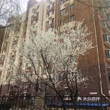 一切都会好起来的🌸