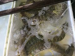 -拉威海鲜市场