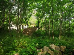 -云岫谷自然风景区
