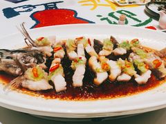 姜茸蒸长江回鱼-贝勒爷·酥不腻烤鸭