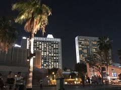 -新加坡文华东方酒店