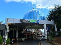 -西归浦每天偶来市场