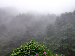 -苍山感通索道