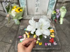 -柳侯公园