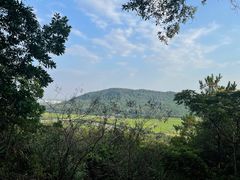 -风云岭森林公园