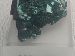 -湖南省地质博物馆