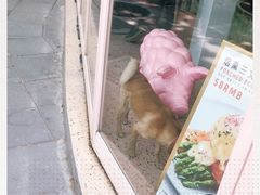 -WHEN PIGS FLY当猪飞