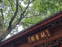 -秋霞圃