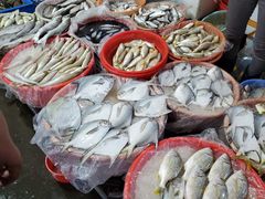 -老字号蛇口德记烧腊饭店·海鲜加工