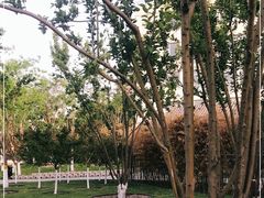 -西海子公园