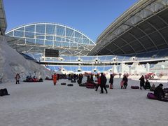 -沈阳奥体冰雪嘉年华
