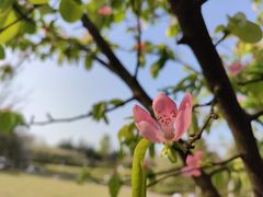 -重庆中央公园(渝北区)